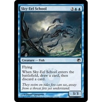 Sky-Eel School - SOM