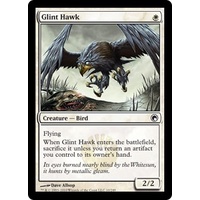 Glint Hawk - SOM