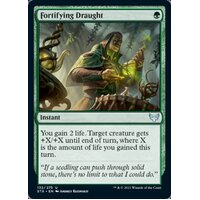Fortifying Draught - STX