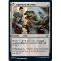 Expanded Anatomy FOIL - STX