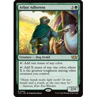 Arbor Adherent - TDC