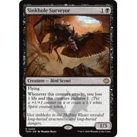 Sinkhole Surveyor - TDM