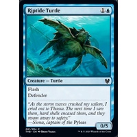 Riptide Turtle - THB