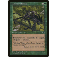 Pincher Beetles - TMP