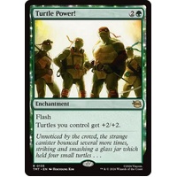 Turtle Power! - TMT