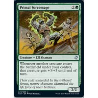 Primal Forcemage - TSR