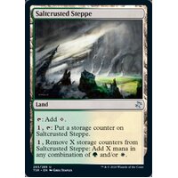 Saltcrusted Steppe - TSR