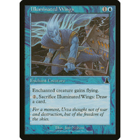 Illuminated Wings - UDS
