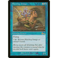Fleeting Image - ULG