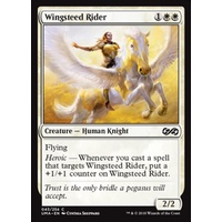 Wingsteed Rider FOIL - UMA