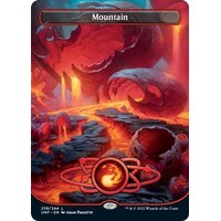 Mountain (238) (Borderless) FOIL - UNF