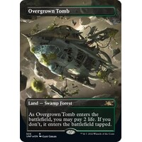 Overgrown Tomb (Borderless) (Galaxy Foil) FOIL - UNF