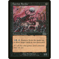 Carrion Beetles - USG