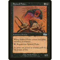 Spined Fluke - USG