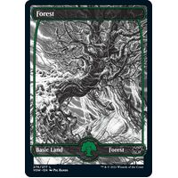 Forest 276 - VOW