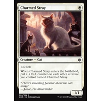 Charmed Stray - WAR