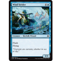 Wind Strider FOIL - XLN
