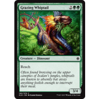Grazing Whiptail - XLN
