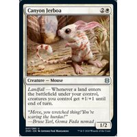 Canyon Jerboa - ZNR