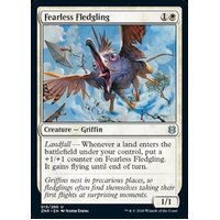 Fearless Fledgling - ZNR