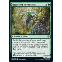 Iridescent Hornbeetle - ZNR