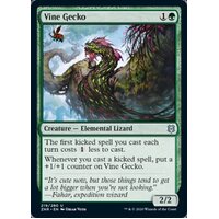 Vine Gecko - ZNR