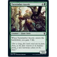 Turntimber Ascetic FOIL - ZNR