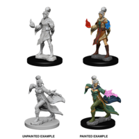 Pathfinder Deep Cuts: Unpainted Miniatures - Elf Female Sorcerer