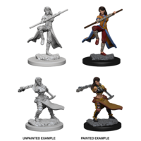 D&D Nolzurs Marvelous Unpainted Miniatures - Human Female Monk