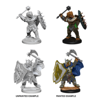 D&D Nolzurs Marvelous Unpainted Miniatures - Dragonborn Male Paladin