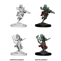 D&D Nolzurs Marvelous Unpainted Miniatures - Air Genasi Female Rogue