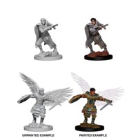 D&D Nolzurs Marvelous Unpainted Miniatures - Aasimar Male Fighter