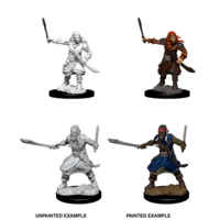 D&D Nolzurs Marvelous Unpainted Miniatures - Bandits