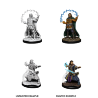 D&D Nolzurs Marvelous Unpainted Miniatures - Human Male Wizard v2