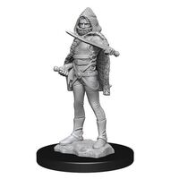D&D Nolzurs Marvelous Unpainted Miniatures - Darkling Elder & Darklings (Wave 13)