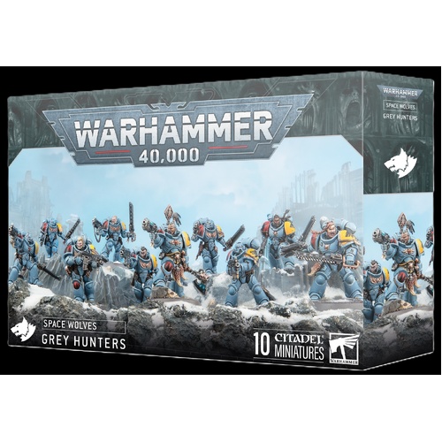 Space Wolves: Grey Hunters
