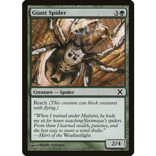 Giant Spider - 10E