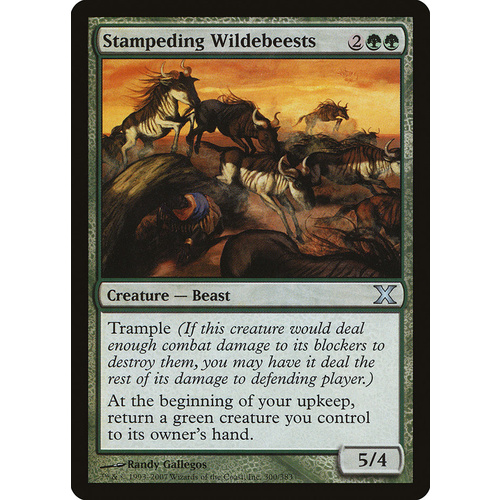 Stampeding Wildebeests - 10E