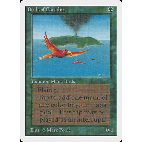 Birds of Paradise - 2ED