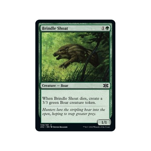 Brindle Shoat - 2X2