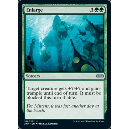Enlarge - 2XM