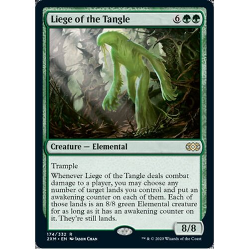 Liege of the Tangle - 2XM
