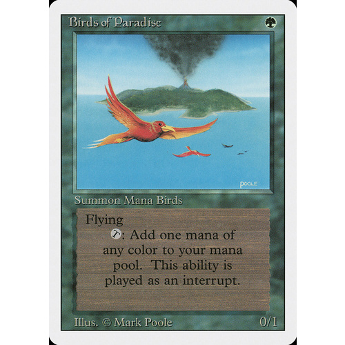 Birds of Paradise - 3ED