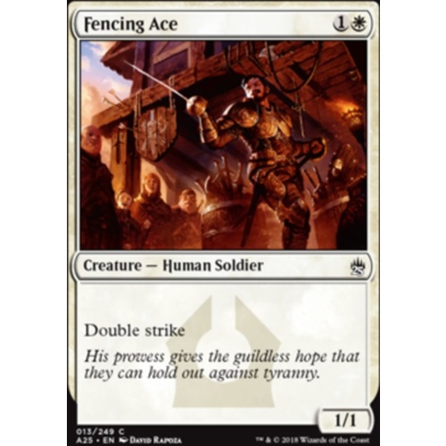 Fencing Ace - A25