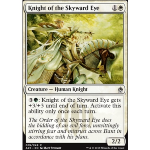 Knight of the Skyward Eye - A25