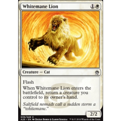 Whitemane Lion - A25