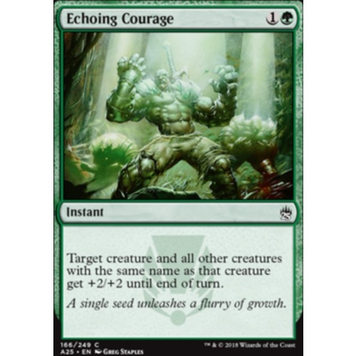 Echoing Courage - A25