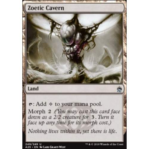 Zoetic Cavern - A25