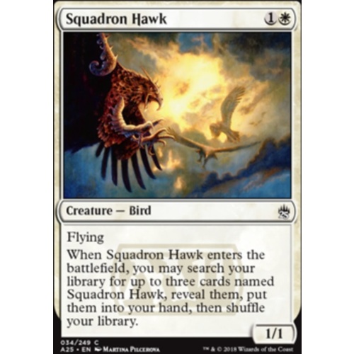 Squadron Hawk FOIL - A25