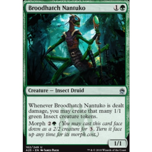 Broodhatch Nantuko FOIL - A25